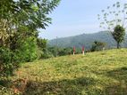 Land For Sale In Ratnapura City (Weralupa)