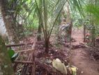 Land For Sale in Ratnapura