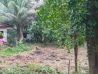 Land for Sale in Ratnapura