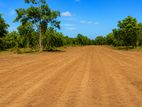 Land for Sale in Rekawa