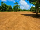 Land for Sale in Rekawa