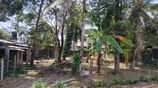 Land for Sale In Residential Plot Piliyandala