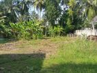 Land for Sale in Rilaulla, Kandana