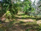 Land for Sale in Ruggahawila