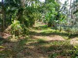 Land for Sale in Ruggahawila, Nittambuwa