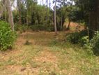 Land for Sale in Ruwanwella