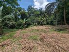 Land for Sale in Ruwanwella