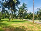 Land for Sale in Seeduwa