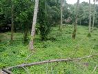 Land for Sale in Seeduwa