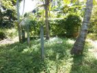 Land for Sale in Seeduwa