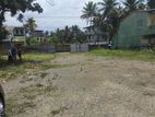 Land for Sale in Seeduwa - ls 720