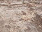 Land for Sale in Seeduwa (Negombo - Colombo Main road)