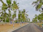 Land for Sale in Seeduwa Raddolugama