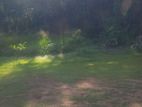 Land for Sale in Seeduwa / Raddoluwa