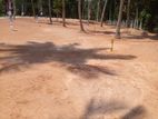 Land for Sale in Seeduwa, Radolugama