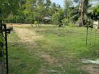 Land For Sale in Seeduwa (SSPL-347)