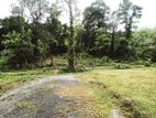 Land for Sale in Seethadola, Horana