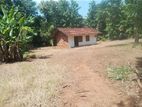 Land for Sale in Sewanagala