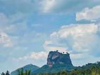 Land for Sale in Sigiriya - අගනා ඉඩමක් සීගිරියෙන්