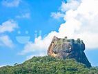 Land For Sale in Sigiriya - අනර්ග මනරම් ඉඩමක් සීගිරියෙන්