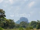 Land for Sale in Sigiriya - අයෝජනයට සුදුසු මනරම් ඉඩමක්