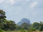 Land for Sale in Sigiriya - අයෝජනයට සුදුසු මනරම් ඉඩමක් සීගිරියෙන්