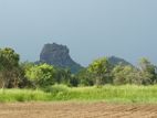 Land for Sale in Sigiriya