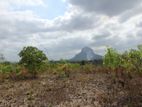 Land for Sale in Sigiriya