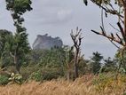 Land for Sale in Sigiriya