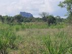 Land for sale in Sigiriya