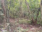 Land for sale in Sigiriya