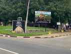 Land for Sale in Sigiriya