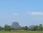 Land for Sale in Sigiriya