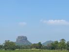 Land for Sale in Sigiriya