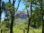 Land for Sale in Sigiriya