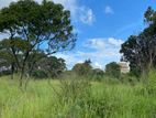 Land for Sale in Sigiriya