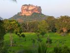 Land For Sale In Sigiriya