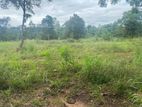 Land for Sale in Sigiriya