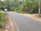 Land for Sale in Sigiriya