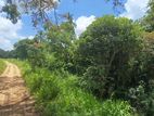 Land for Sale in Sigiriya