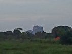 Land for Sale in Sigiriya