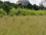 Land for Sale in Sigiriya