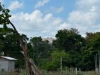 Land for sale in sigiriya