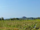 Land for Sale in Sigiriya