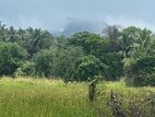 Land for Sale in Sigiriya