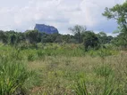 Land For Sale in Sigiriya - සීගිරියෙන් ඉඩමක් විකිණීමට