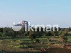 Land for Sale in Sigiriya - සීගිරියෙන් ඉඩමක් විකිණීමට