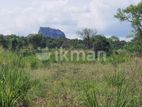 Land For Sale in Sigiriya - සීගිරියෙන් ඉඩමක් විකිණීමට
