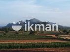 Land for Sale in Sigiriya - සීගිරියෙන් ඉඩමක් විකිණීමට