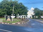 Land for Sale in Sigiriya - සීගිරියෙන් ඉඩමක් විකිණීමට